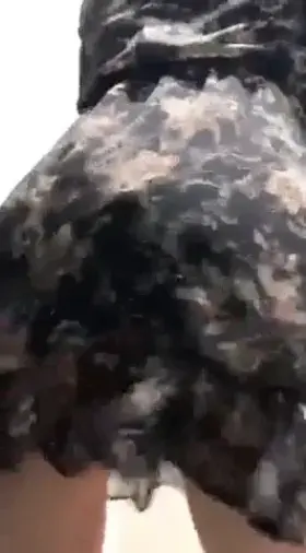 18, Exotic Dancer 🩰❤️ B/G, G/G, Solo, JOI, No PPV ever!! ❤️ I reply to DMs all day and yess they won't cost you anything hehe ❤️ Daily posts on OF ❤️ Live on cam twice every week 😌💫 Subscribe for a free and honest dick rate 🥺😫🍆❤️