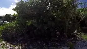 Nimble lover does Blowjob to a friend in the fresh air and under water