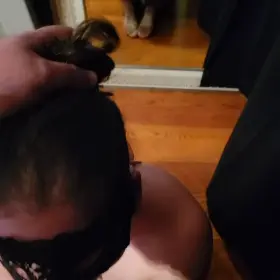 Amateur Blowjob Cum On Tits Cumshot Porn GIF by onehotmylf769