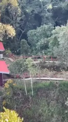 Had to cool down after the climb [GIF]