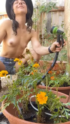 Enjoying a moist morning in my garden