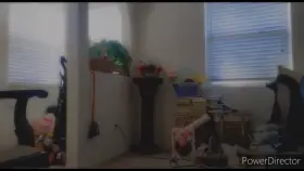 Usually how I answer the door for my herb connect 😈 lol