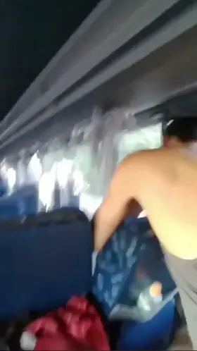 Backseats are the best