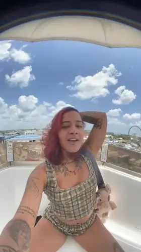 Went to the fair, you think anyone else on the Ferris wheel seen?