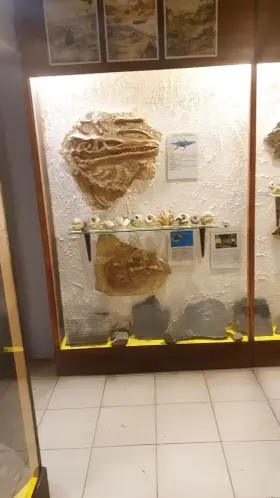 You walk into a gemstone museum and would you expect such large specimens from this modest girl with glasses?