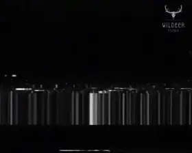 Lara's wild Halloween night (Wildeer Studio) [Tomb Raider]