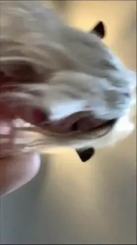 some peek from last nights action, she rides like a champ 🥵