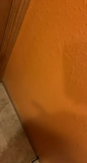 Blowin in the wind (m)