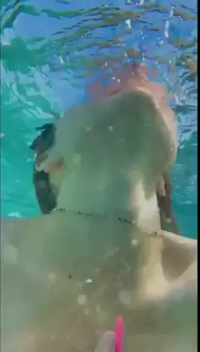 M3gnutt and Her Pefect Body - Get Her F0lder