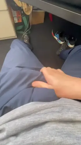 SoCal bull taking a long work break (audio/video)