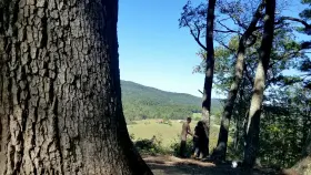 Fucked wherever daddy wants me [FM]