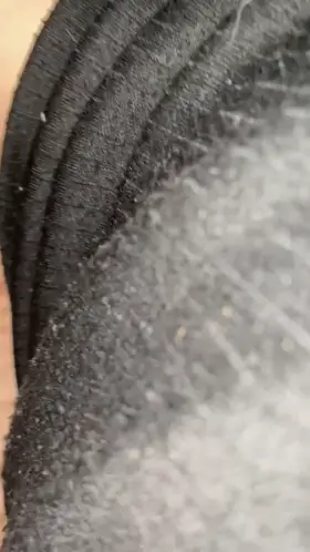 What do you prefer , ass or pussy?💦😈