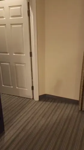 Everybody loves a nerdy white chick that turns into a cock whore when the pants come off.