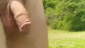 The fascinating movement of male genitals.