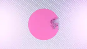 Amateur Asian girls in the great compilation of porn videos