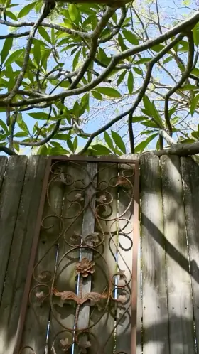 I love this black plug!