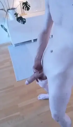 would you suck or fuck my cock first?