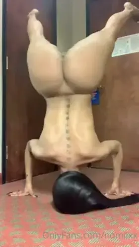 Upside Down 🙃 [GIF]