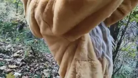 I love nothing more than knowing I am being looked at and desired 😇