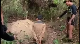 These people are really experienced