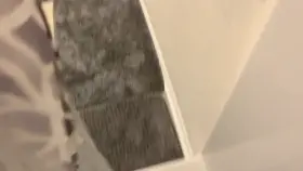 I was on the hunt to find her for some post-shower free use. I almost gave up and got dressed, but luckily she wandered back in [OC]