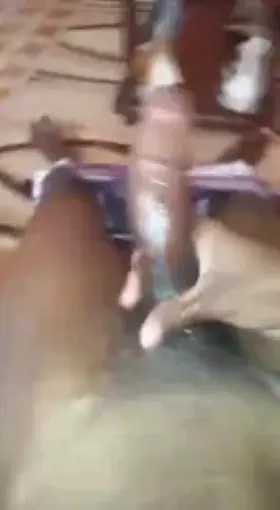 😈Swallow every Drop😈 Caution: Highly Addictive 🍆💦💦