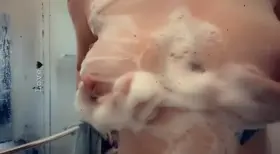 Where’s the unicorns at? Or girls who wanna shower with me 😛