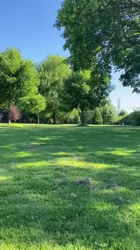 wanted to play in the sun today 🌞