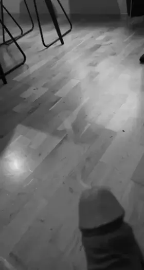 Where would you take this load?