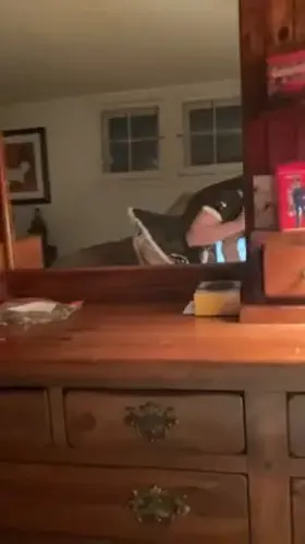 Latex Maid for bbc. Who’s hiring?