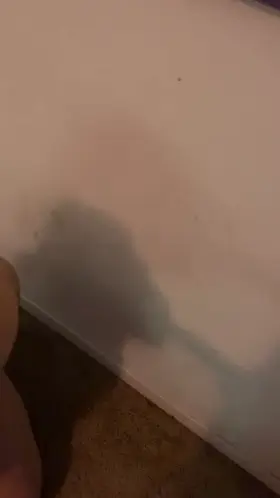 ASMR Sloppy Sucking Porn GIF by babyygirl002