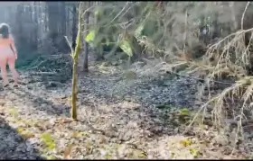 What would you do if you stumbled upon this in the forest? [gif]