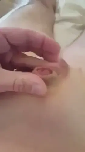 i put that here, have a nice day reddit friends