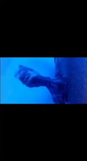 which white slut wants to stroke my cock for me ?