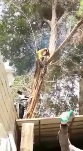 How not to use a saw series continues!