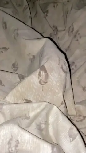 You’re the only one who can tame this monster