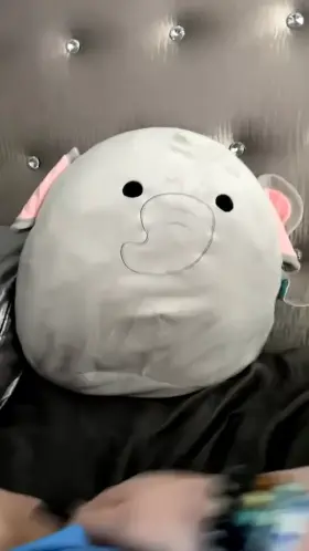 Not only is it shaved but it’s tight