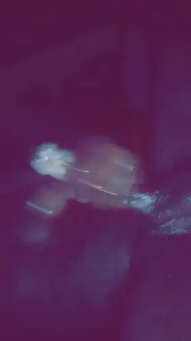 ASMR BBC Big Dick Cock Cum