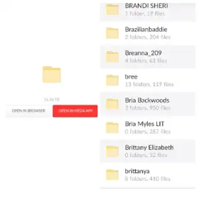 🤑GET BIG COLLECTION 🤑