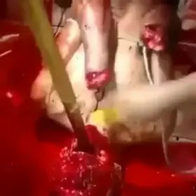 Gta san andreas godmode code