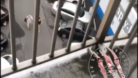 Anal Slut Made Cuckold Watch BBC Double Penetration GIF by imbackstage