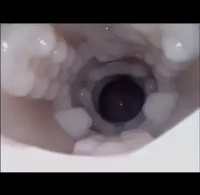 Internal Fleshlight Fuck