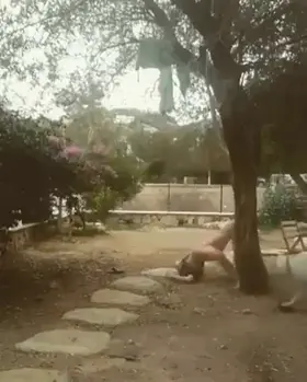 Dog knows a bitch when he sees one