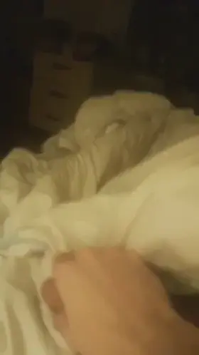 2nd time that evening