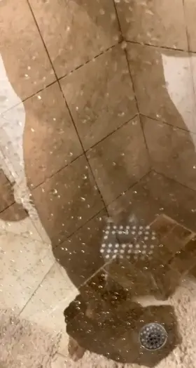 Room for one more in the shower!