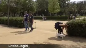 Flashing my pussy for all the white boys [OC]