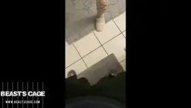 POV: You’re about to take Goddess Starry out shopping 🛍