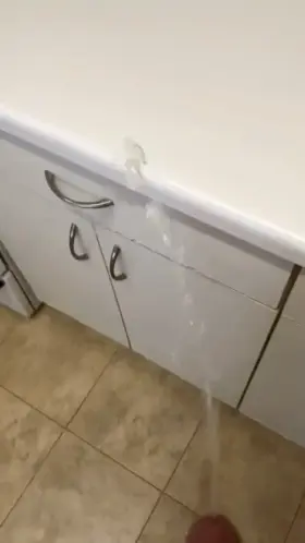 Pissing all over the place