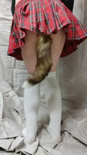 My favorite tail. What kind should I get next?