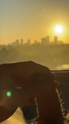 Shoot up like a sunrise